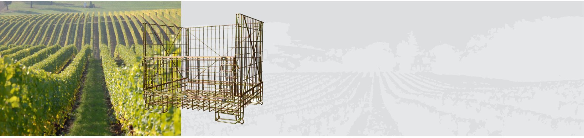 Cesto Enol�gico Italiano Extra Robusto